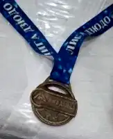 Лига дзюдо «Ладога»