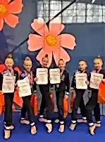 соревнования по художественной гимнастике «Путь Чемпионов»!