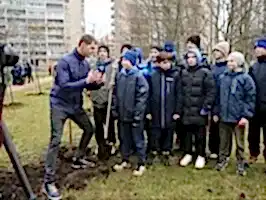 Аллея сакуры